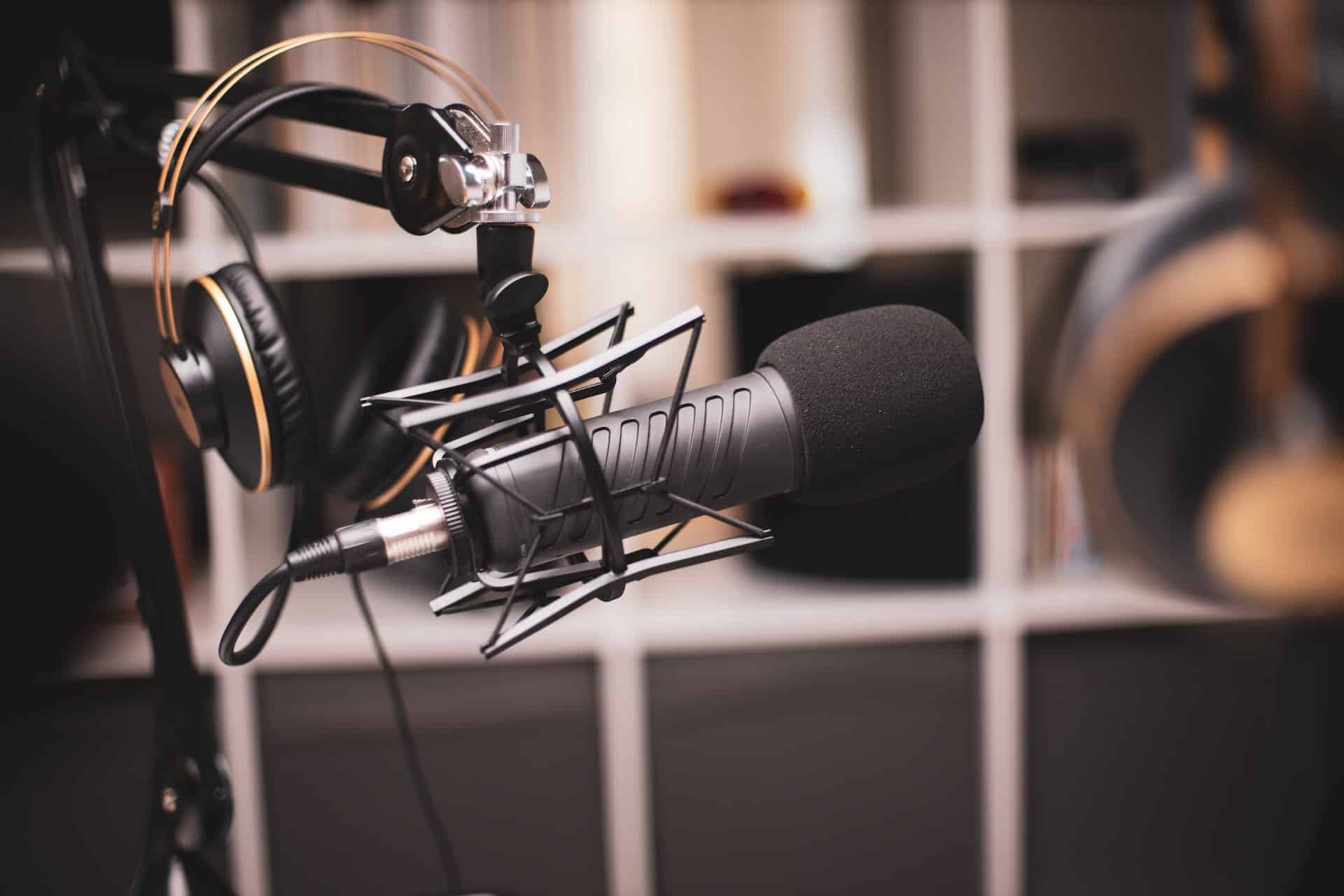 Studio headphones and microphone